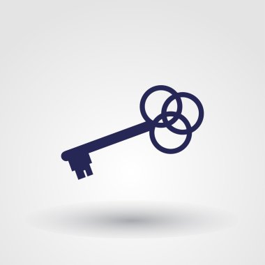 anahtar web vektör simgesi