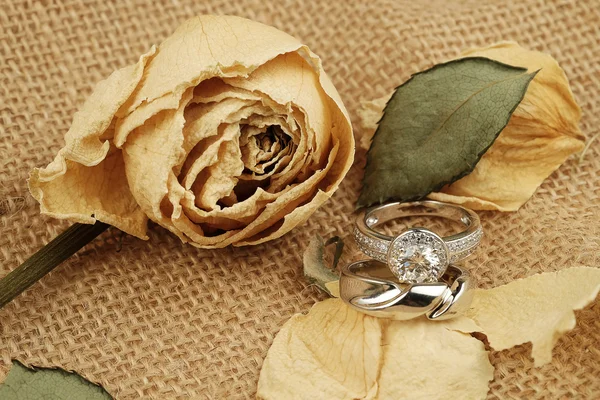 Anillos de boda en la ceremonia de matrimonio libro — Foto de Stock