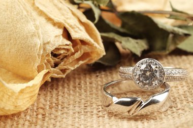 Alyans üzerinde kitap evlilik töreni