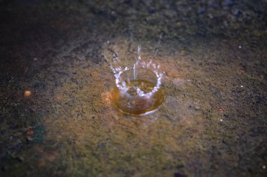 Su sıçrama su sıçrama veya su damlası