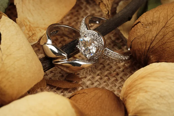 Anillos de boda en la ceremonia de matrimonio libro — Foto de Stock