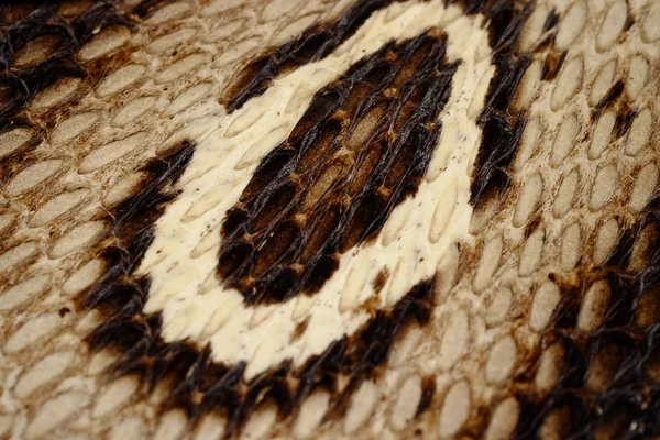 Yılan deri veya Kobra cilt dokusunu - portre, makro