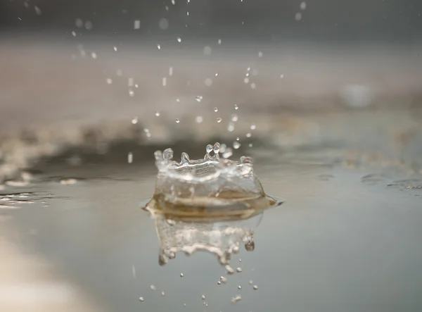 水のしぶきまたは水ドロップ - (選択と集中) — ストック写真