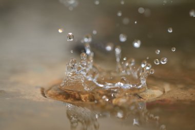 Su sıçrama veya su damlası 