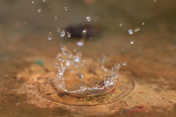 Su sıçrama veya su damlası 