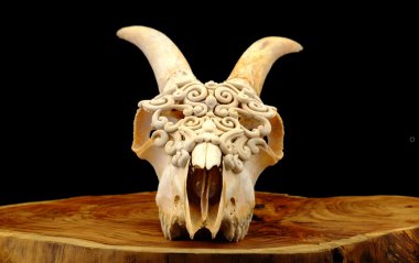 Polimer kil (seçici odak ile dekore edilmiş keçi'nın kafatası)