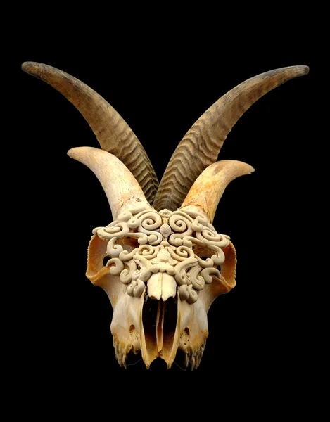 Cráneo de cabra decorado con arcilla polimérica (enfoque selectivo ) — Foto de Stock