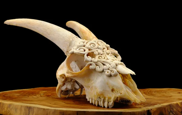 Crânio de cabra decorado com argila de polímero (Foco seletivo ) Imagem De Stock