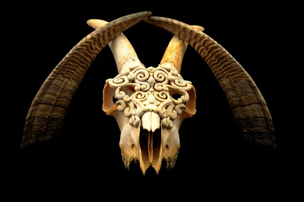 Crânio de cabra decorado com argila de polímero (chifre original sem cortes e foco seletivo ) Imagem De Stock