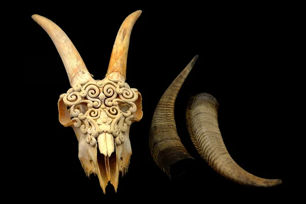 Crânio de cabra decorado com argila de polímero (chifre original sem cortes e foco seletivo ) Fotografias De Stock Royalty-Free