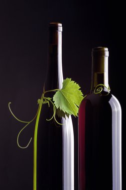 Şişe ve üzüm yaprakları dikey olarak