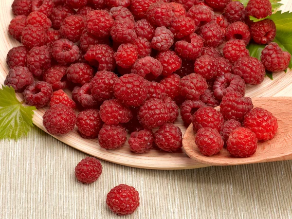 多汁的成熟树莓 — 图库照片
