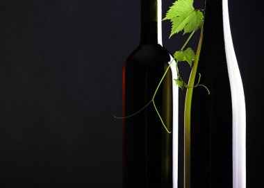 İki şişe ve bir yaprak