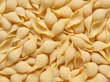 Deniz kabuğu şeklinde bir sürü İtalyan makarnasının yakın plan görüntüsü. Tasarımcı için soyut arkaplan.