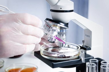 Bir laboratuvar asistanı bilimsel bir kimya laboratuvarında araştırma yapıyor. Mikroskop ve petri kabına yakın çekim.