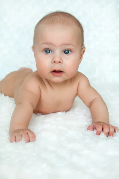 Retrato de bebé feliz acostado en el estómago . — Foto de Stock