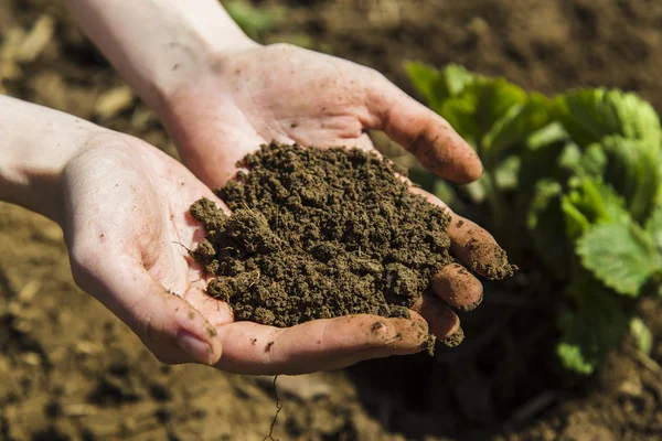 Black soil in woman hands — Stock Photo, Image
