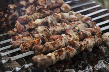 Hazırlanan bir mangal şiş kebap