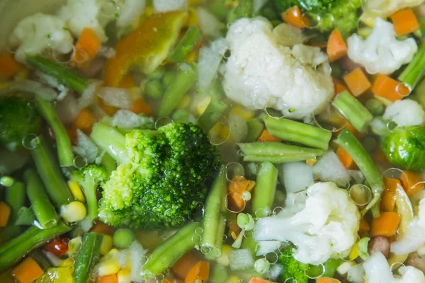 Lezzetli sebze güveç