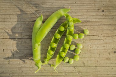 bezelye ahşap tablo