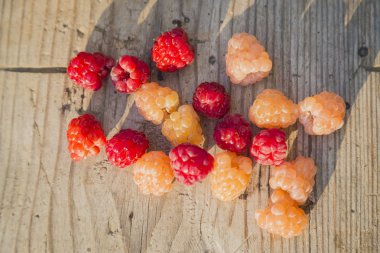 Cam kavanozda eski ahşap arka plan üzerinde renkli cam ahududu