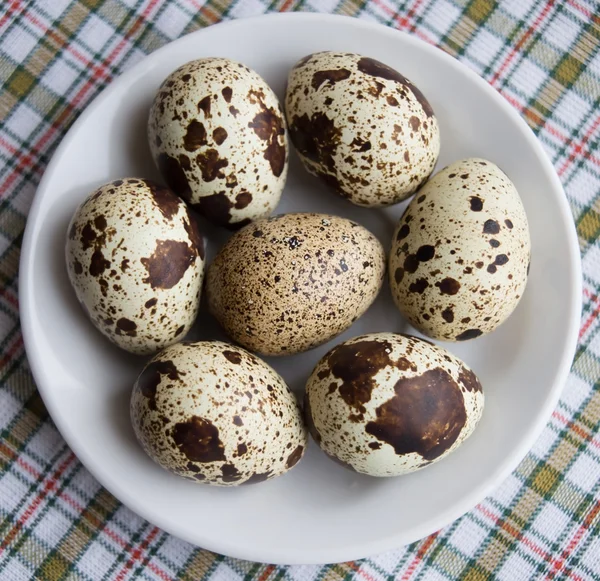 Quail eggs on a wite napkin — Stock Photo, Image