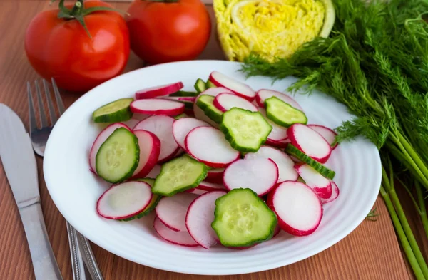 Fresh spring vegetarian salad of cucumber and radish in a white plate — Stock Photo, Image