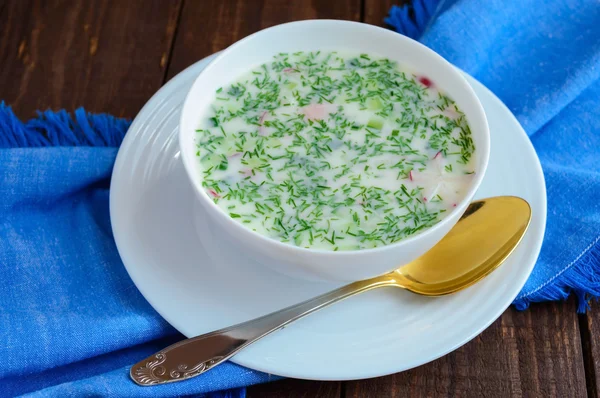 El plato eslavo tradicional - la sopa fría "Okroshka" sobre el yogurt. Plato refrescante dietético . — Foto de Stock