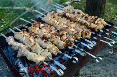 Ateşte - ızgara et, Barbekü. Açık havada yemek.