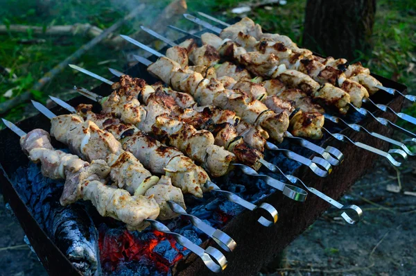 Carne, grelhada sobre um fogo - churrasco. Cozinhar comida ao ar livre . — Fotografia de Stock