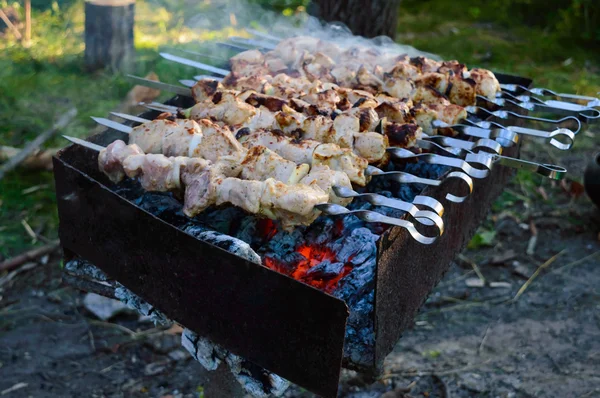 Viande, grillée sur un feu - barbecue. Cuisson des aliments à l'extérieur — Photo