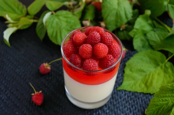 Sommer-Dessert mit Sahne und Himbeergelee und garniert mit frischen Beeren — Stockfoto