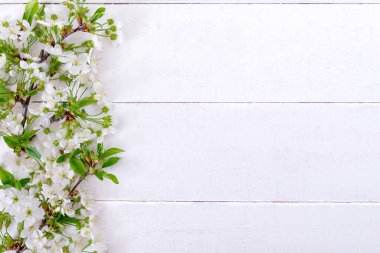 Beyaz ahşap zemin üzerinde taze yapraklar olan dallar. Kopya alanı da var. Bahar arkaplanı