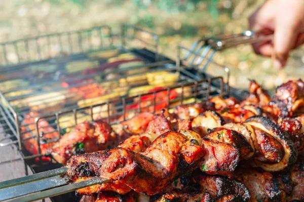 Fatias Suculentas Carne Espetos Legumes Grelhados Uma Churrasqueira Aberta — Fotografia de Stock