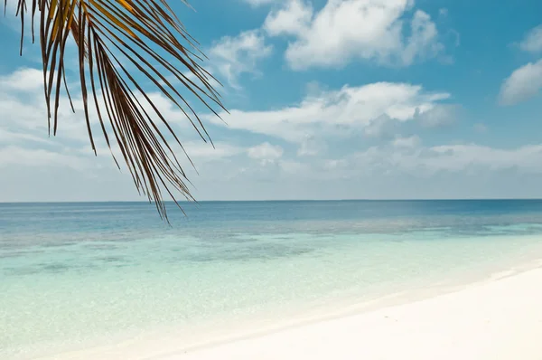 Mükemmel plaj beyaz kum, turkuaz suları ile görüntülemek için ağaç dalı ve mavi gökyüzü whith beyaz bulutlar palmiye.