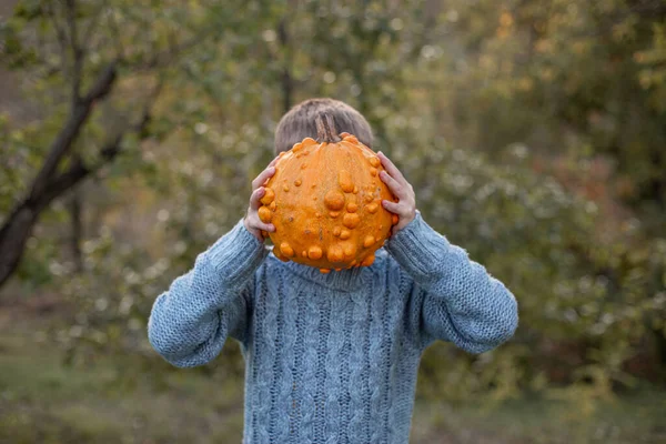 Deformovaná ošklivá oranžová dýně v dětských rukách. — Stock fotografie