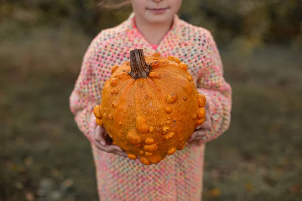 Deformed ugly orange pumpkin in a child hands.