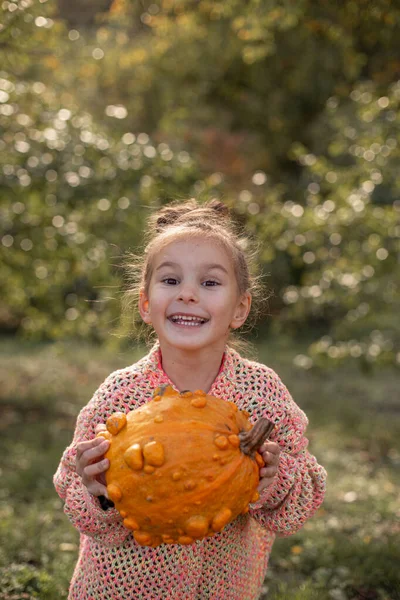 Deformed ugly orange pumpkin in a child hands.