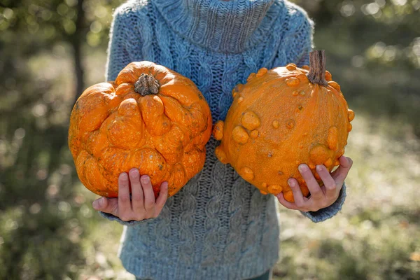 Уродливые оранжевые тыквы в руках ребенка. — стоковое фото