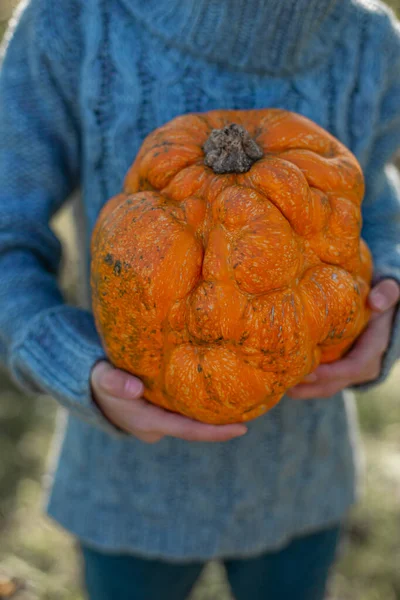 Уродливая оранжевая тыква в руках ребенка. — стоковое фото