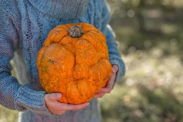 Deformed ugly orange pumpkin in a child hands.