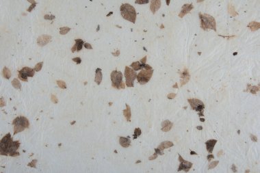 Yapraklı geri dönüştürülmüş el yapımı kağıdın dokusu