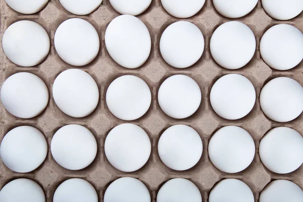 Cartouche Con Huevos Pollo Blanco — Foto de Stock