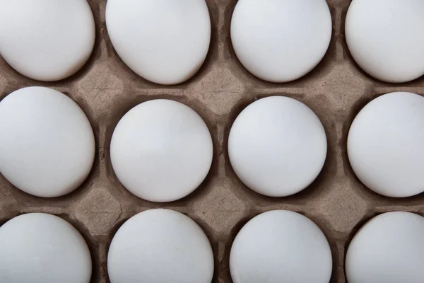 Cartouche Con Huevos Pollo Blanco — Foto de Stock