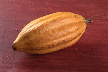 Masada izole edilmiş kakao meyvesi.