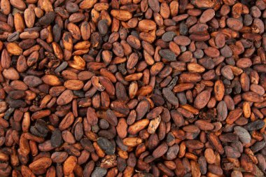 Kokulu çiğ kakao çekirdeğinin dokusu üst üste istiflenmiş.