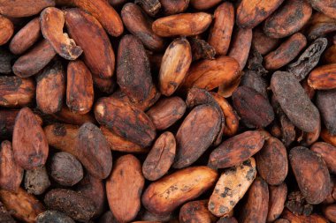 Kokulu çiğ kakao çekirdeğinin dokusu üst üste istiflenmiş.