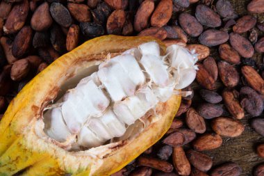 Kesilmiş kakao meyveleri ve çiğ kakao çekirdekleri..
