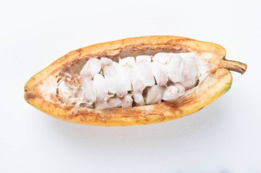 Beyaz arka planda olgun kakao meyvesi kesimi.