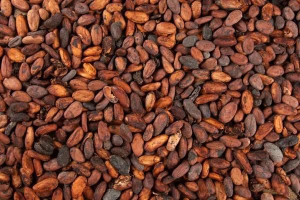 Textur Der Aromatischen Rohen Kakaobohnen Gestapelt Top Vie — Stockfoto